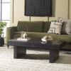 SAFAVIEH Home Collection Habana Walnut Brown Wood Coffee Table(Black)