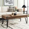 SAFAVIEH Home Collection Liann Black Stripe/Black Hairpin Leg Coffee Table(Brown/Black)