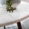 SAFAVIEH Home Collection Maja Marble/Walnut Brown Round Coffee Table