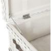 SAFAVIEH Home Collection Navarro White Rattan Coffee Table(White)