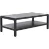 SAFAVIEH Home Collection Omara Black 1-Shelf Coffee Table(Black)