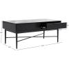 SAFAVIEH Home Collection Pierre Black/Gold 2-Drawer Rectangle Coffee Table, Ideal for Living Room, Office & Bedroom(Black)