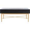 SAFAVIEH Home Collection Pierre Black/Gold 2-Drawer Rectangle Coffee Table, Ideal for Living Room, Office & Bedroom(Black/Gold)