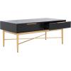 SAFAVIEH Home Collection Pierre Black/Gold 2-Drawer Rectangle Coffee Table, Ideal for Living Room, Office & Bedroom(Black/Gold)