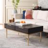 SAFAVIEH Home Collection Pierre Black/Gold 2-Drawer Rectangle Coffee Table, Ideal for Living Room, Office & Bedroom(Black/Gold)