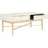 SAFAVIEH Home Collection Pierre Black/Gold 2-Drawer Rectangle Coffee Table, Ideal for Living Room, Office & Bedroom(White Washed/Gold)