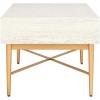 SAFAVIEH Home Collection Pierre Black/Gold 2-Drawer Rectangle Coffee Table, Ideal for Living Room, Office & Bedroom(White Washed/Gold)