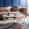 SAFAVIEH Home Collection Raveena Mid-Century White Wash and Brass Hairpin Leg Coffee Table(White Washed / Brass)