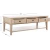 Safavieh American Homes Collection Manelin Sepia Coffee Table(White Washed)