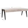 Safavieh Home Cameron Modern Light Grey and Black Coffee Table