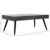 Safavieh Home Collection Cedric Light Grey and Black Rectangular Midcentury Modern Coffee Table(Black Oak/Black)