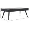 Safavieh Home Collection Cedric Light Grey and Black Rectangular Midcentury Modern Coffee Table(Black Stripe/Black)