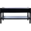 Safavieh Home Collection Filbert Brown 2-Drawer Bottom Shelf Coffee Table COF5703C(Black)
