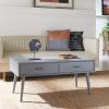 Safavieh Home Collection Mozart Mid-Century Distressed Grey 2-Drawer Rectangle Coffee Table(Distressed Grey)