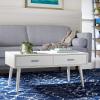Safavieh Home Collection Mozart Mid-Century Distressed Grey 2-Drawer Rectangle Coffee Table(Distressed White)