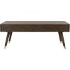 Safavieh Home Levinson Mid-Century Modern Brown and Gold Cap 2-drawer Coffee Table(Brown)