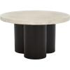 SAFAVIEH Home Collection – Benvolio Round Solid Wood Coffee Table, White Washed Top & Black Base, Modern Fully Assembled Design (COF3003B)(White Washed/Black)