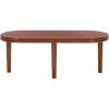 SAFAVIEH Home Collection – Chatun Brown Oval Coffee Table, Modern Sculptural Living Room Accent (COF2320A)(Brown)