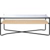 SAFAVIEH Home Collection – Omaka Coffee Table with Clear Glass Top, Natural Rope Shelf & Black Metal Frame, Modern Living Room Design (COF2308A)(Natural/Black)