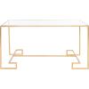SAFAVIEH Home Collection Burton Gold Coffee Table