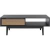 SAFAVIEH Home Collection Ceu Oak/Gold 2-Door Coffee Table(Black/Gold)