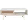 SAFAVIEH Home Collection Ceu Oak/Gold 2-Door Coffee Table(Bleached White/Gold)