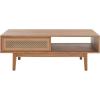 SAFAVIEH Home Collection Ceu Oak/Gold 2-Door Coffee Table(Oak/Gold)