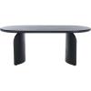 SAFAVIEH Home Collection Chakun Black Oval Top Coffee Table(Black)