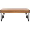 SAFAVIEH Home Collection Liann Black Stripe/Black Hairpin Leg Coffee Table(Brown/Black)