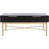 SAFAVIEH Home Collection Pierre Black/Gold 2-Drawer Rectangle Coffee Table, Ideal for Living Room, Office & Bedroom(Black/Gold)