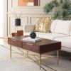 SAFAVIEH Home Collection Pierre Black/Gold 2-Drawer Rectangle Coffee Table, Ideal for Living Room, Office & Bedroom(Walnut/Gold)