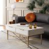 SAFAVIEH Home Collection Pierre Black/Gold 2-Drawer Rectangle Coffee Table, Ideal for Living Room, Office & Bedroom(White Washed/Gold)
