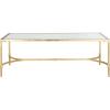 Safavieh Home Collection Antwan Gold Coffee Table(Gold / Clear)