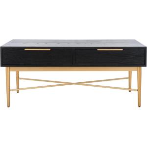 SAFAVIEH Home Collection Pierre Black/Gold 2-Drawer Rectangle Coffee Table, Ideal for Living Room, Office & Bedroom(Black/Gold)
