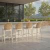 SAFAVIEH Couture – Outdoor Rosalind 25-Inch Counter Stool – Light Grey Cushion & Beige Aluminum Frame – Woven Back Design, Fully Assembled – Ideal for Patio, Deck, Backyard (CPT4019A)(Light Grey/Beige)