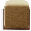 SAFAVIEH Couture – Norabeth Ottoman – Light Brown Chenille & Walnut Solid Wood – Fully Assembled – Ideal for Living Room, Bedroom, Entryway, 22″ W x 17.3″ D x 18″ H (SFV4885A)(Gold/Walnut)