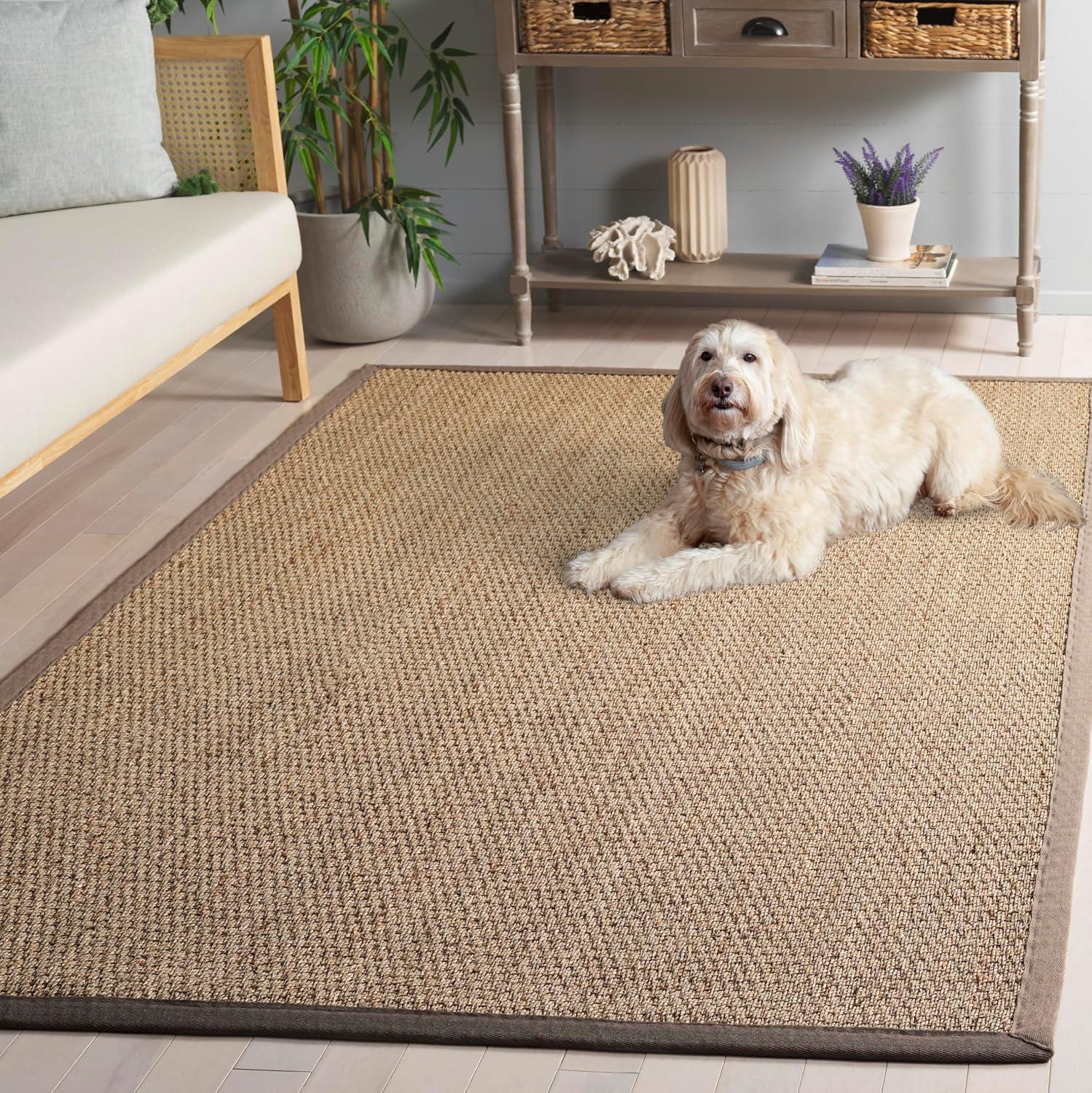image:imageSAFAVIEH Area Rug 8x10 Natural Fiber Collection Large Natural amp Ivory Seagrass Ideal for Living Room Bedroom Dining Space NF111JNaturalGrey