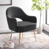 SAFAVIEH Home Collection Dublyn Black Velvet/Gold Accent Chair(Black)
