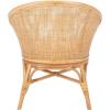 Safavieh Home Collection Dustin Rattan Cushion Accent Chair, Natural/White(Natural / White)