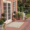 SAFAVIEH Washable Rug Outdoor Courtyard Collection – 9′ x 12′, Terracotta & Light Beige, Non-Shedding & Easy Cleaning, Ideal for Patio, Backyard, Mudroom (CY6303-231)(Beige/Green)