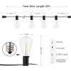 SAFAVIEH Lighting Collection Dorcia Black 10-Foot LED Outdoor String Lights