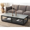 SAFAVIEH Couture Collection Benecarlo Natural/Glass Top Coffee Table(Black/Clear)