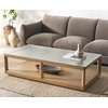 SAFAVIEH Couture Collection Benecarlo Natural/Glass Top Coffee Table(Natural/Clear)