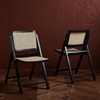 SAFAVIEH Couture Collection Desiree Tropical Coastal Black/Natural Cane Solid Wood Folding Dining Chair Set of 2 (Fully Assembled)(Black/Natural)