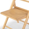 SAFAVIEH Couture Collection Jacie Black Seat Folding Chair Set of 2 (Fully Assembled)(Natural)