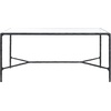 SAFAVIEH Couture Collection Jessa Brass Metal/Glass Top Rectangle Coffee Table (Fully Assembled)(Black)