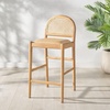 SAFAVIEH Couture Collection Laylie Brown/Natural Leather Solid Wood Rattan 26-inch Seat Height Kitchen Island Breakfast Nook Counter Stool (Fully Assembled)(Brown/Natural)