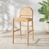 SAFAVIEH Couture Collection Laylie Brown/Natural Leather Solid Wood Rattan 26-inch Seat Height Kitchen Island Breakfast Nook Counter Stool (Fully Assembled)(Tan/Natural)