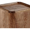 SAFAVIEH Couture Collection – Torryn Brown Burl Accent Table, Sculptural Wood Side Table, Fully Assembled (SFV5804A)(Walnut Burl)
