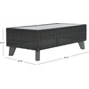SAFAVIEH Couture Collection Margarita Natural Brown Faux Wicker Rectangle Indoor/Outdoor Coffee Table (Fully Assembled)(Dark Grey)